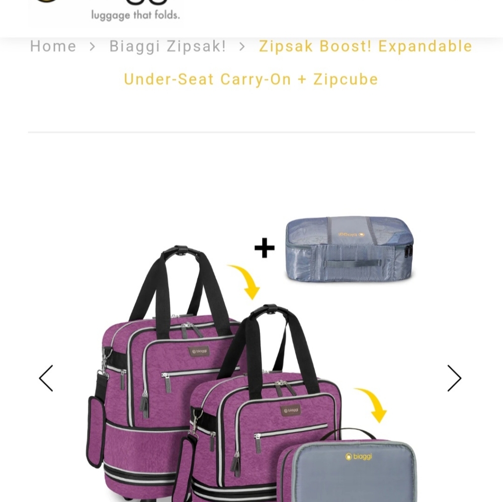 Biaggi Zipsak